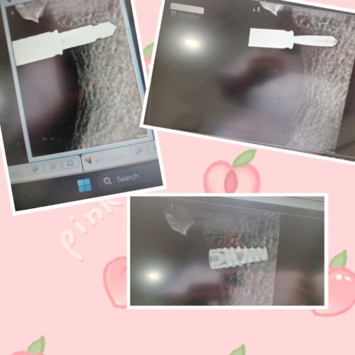 WhatsApp Image 2024-02-04 at 11.32.33 AM